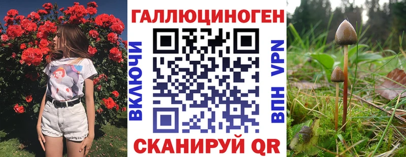 Псилоцибиновые грибы Psilocybine cubensis Каменка